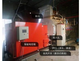 甘肃燃生物质燃气两用蒸汽锅炉